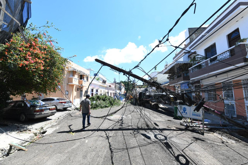 Las intensas lluvias y vientos derribaron decenas de arboles, postes de luz y cableado.