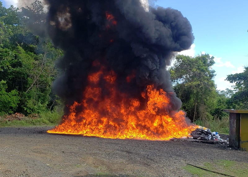 El Inacif quemó más de mil kilogramos de distintas drogas.