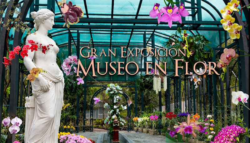 El Jardín Botánico de Santiago se convierte en galería viva con la V Feria de Orquídeas del Cibao.