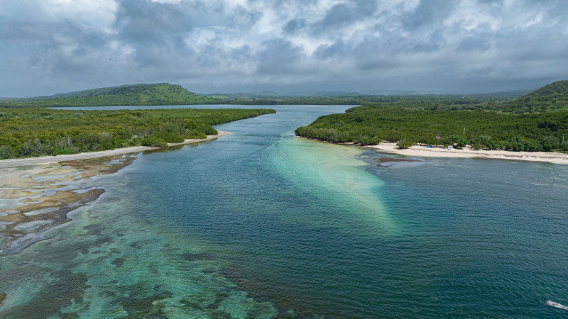El canal es una vía acuática serena donde confluyen el agua dulce y salada, creando condiciones ideales para la biodiversidad.