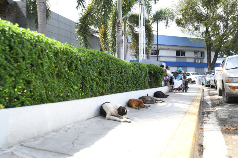 Las instalaciones del Hospital Moscoso Puello requieren una intervención general para su limpieza.