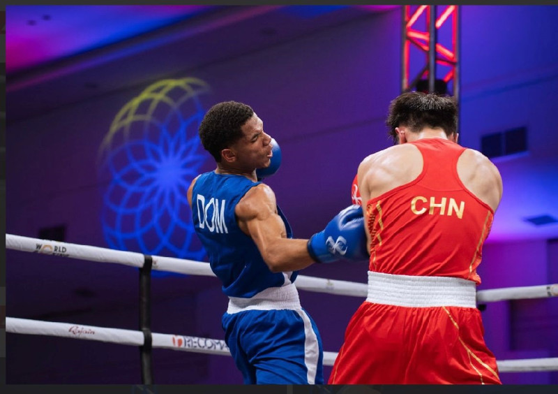 Miguel Angel Encarnación perdió su pelea de ayer frente al japonés Shion Wishiyana.