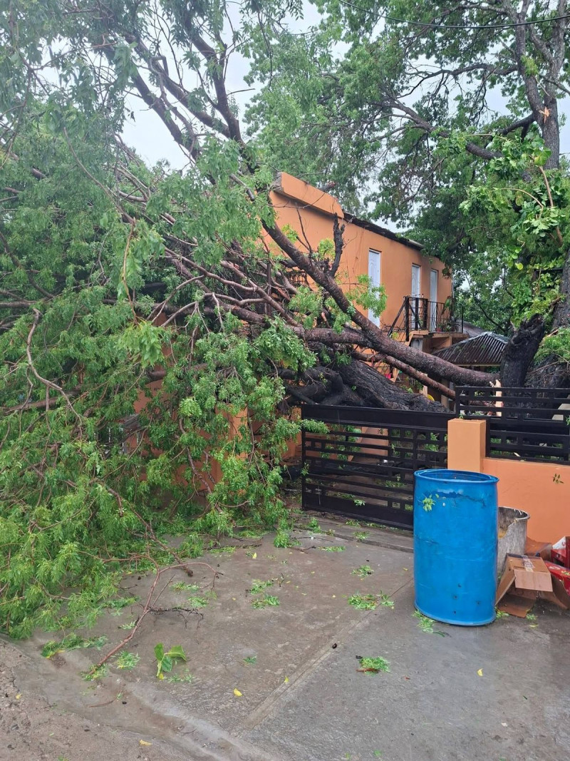 Daños provocados por lluvias en región norte.