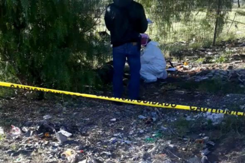 La provincia de Santo Domingo se posiciona como el epicentro del problema, con 5,766 casos.