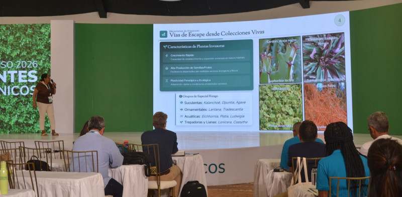 Ramona Oviedo en Puentes Botánicos 2026.