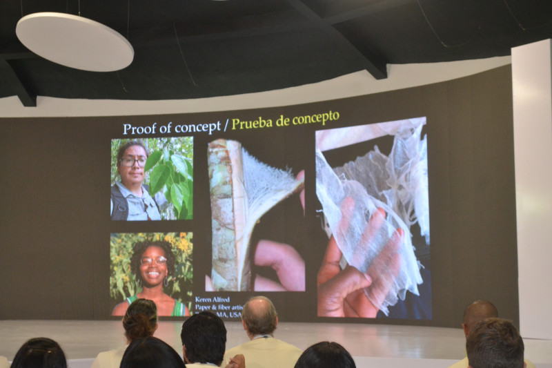 DAGUILLA. Corteza de encaje de Jamaica (Lagetta lagetto). James Ojascastro, de Jamaica, expuso cuán dinámicas son las economías artesanales basadas en plantas.