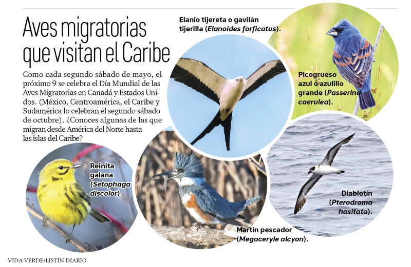 Aves migratorias