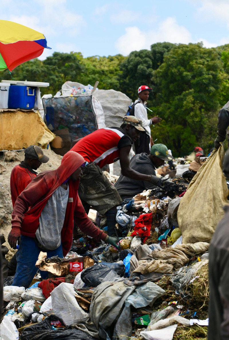 Buceros alrededor de un camión de basura.