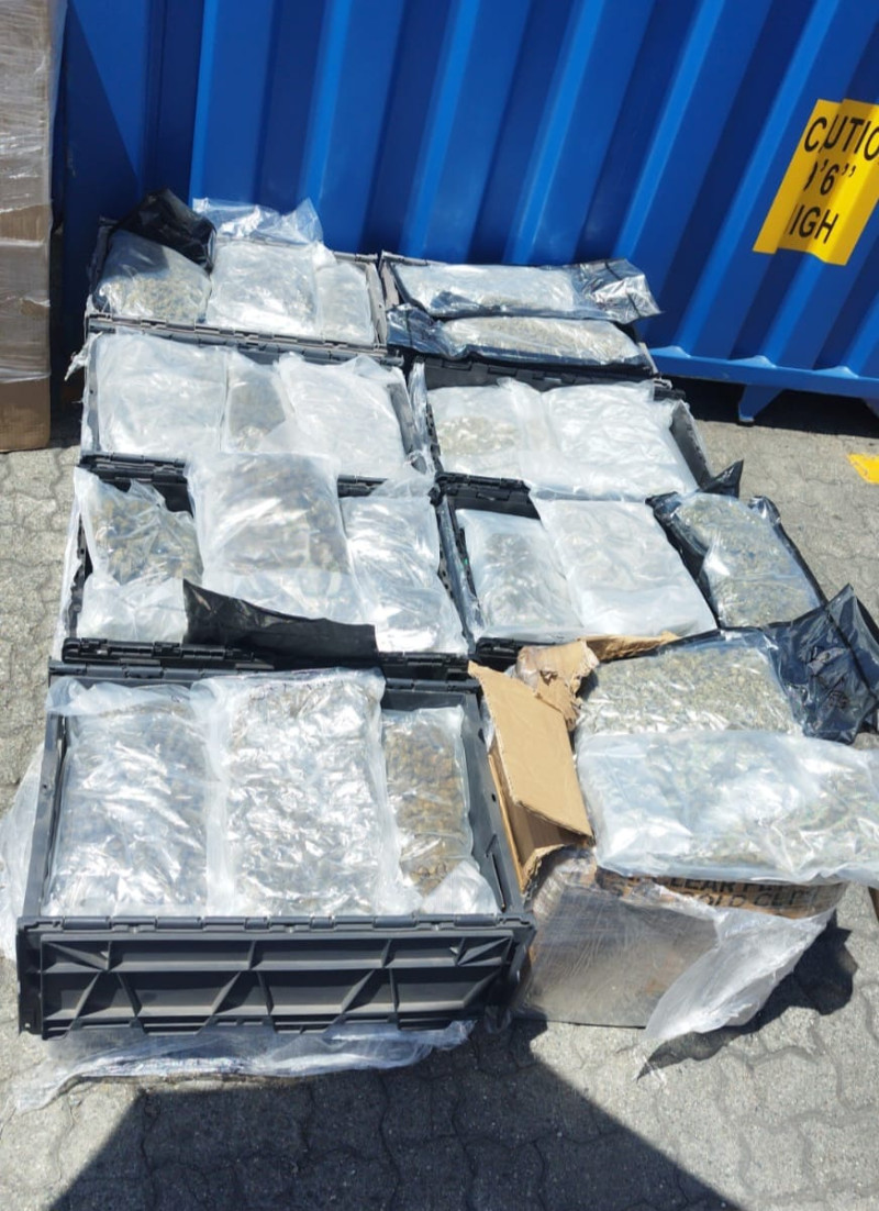 Siete cajas plásticas, conteniendo 103 paquetes de marihuana.