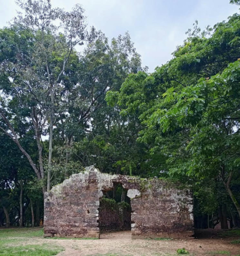 Restos del galpón