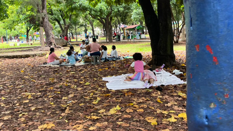 Picnic en el parque Mirador Sur