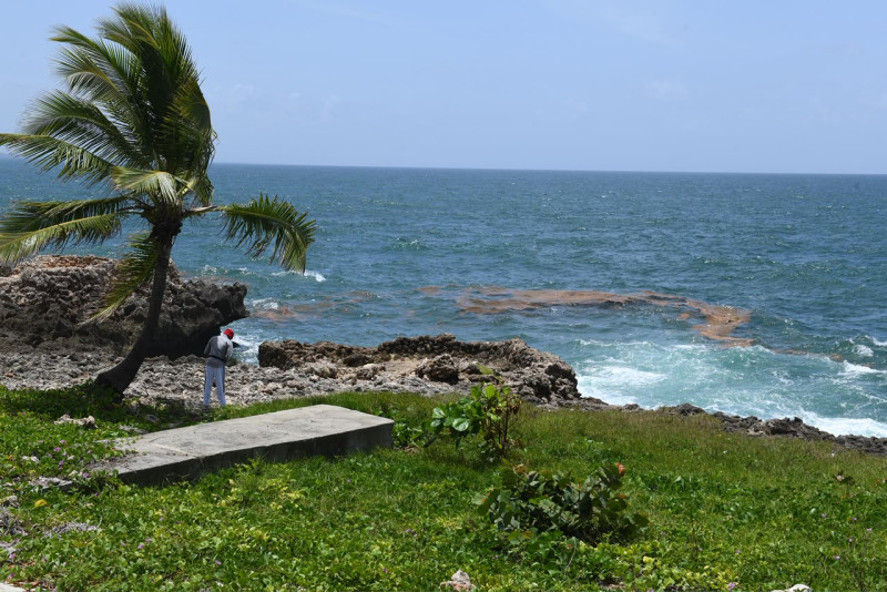 Presencia de sargazo en las costas del Malecón
