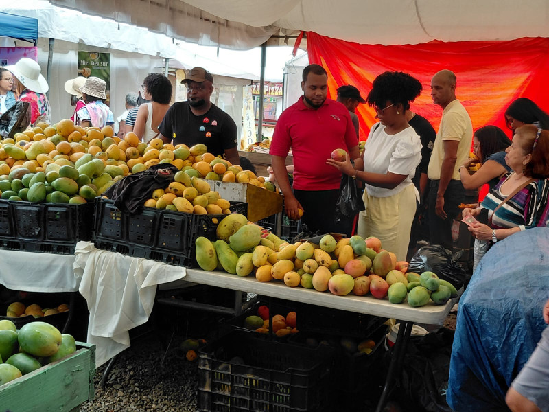 Feria del mango en Baní.