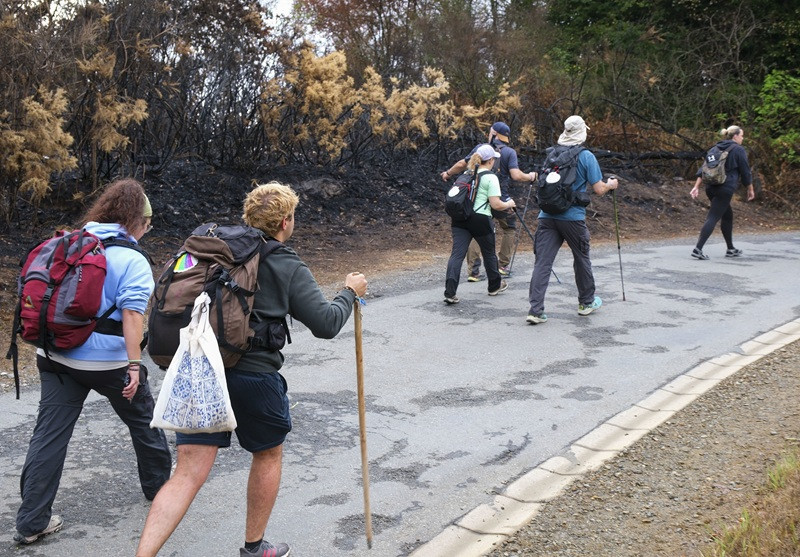 Varios peregrinos pasan junto a una zona de monte calcinada a lo largo de su recorrido. A la dificultad habitual del Camino a Santiago se sumaron en los últimos días el fuego de los incendios y el humo; para unos, rozó el misticismo, y llegaron a la meta; otros cambiaron sus planes.