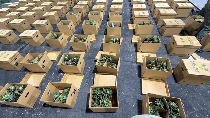 De las 120 cajas, 112 tenían las 121 láminas de cocaína, con un peso preliminar de 30 kilogramos.