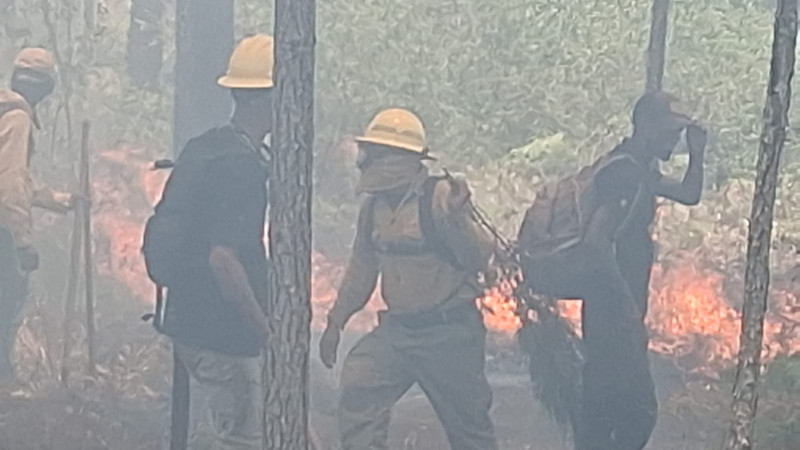 Incendio forestal afecta la Sierra de Bahoruco.