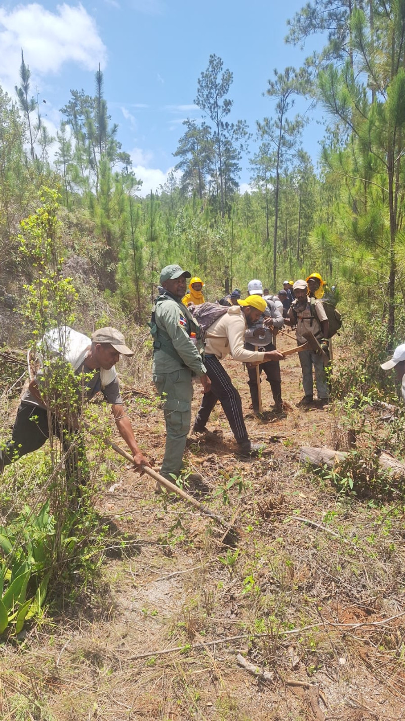 Incendio forestal afecta la Sierra de Bahoruco desde hace varios días y los bomberos han logrado controlar el fuego.