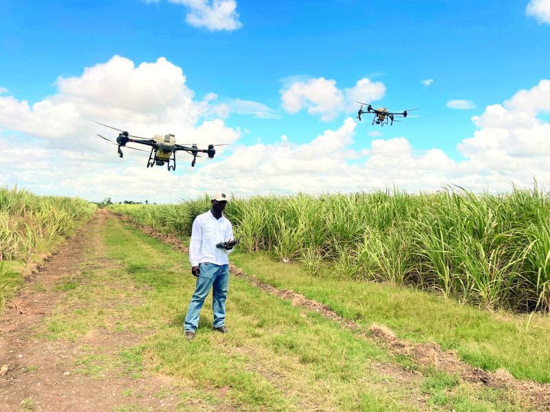 Jóvenes pilotos se preparan para volar los drones. Muchos terminan emprendiendo su propio negocio.