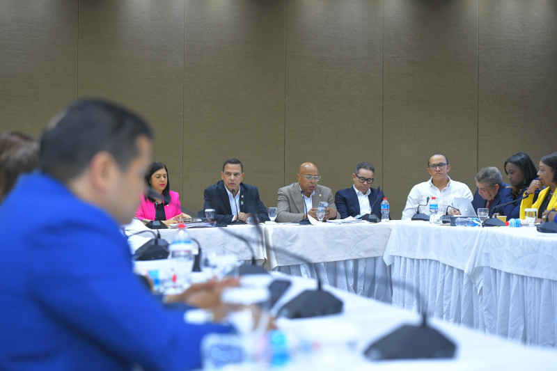Comisión Bicameral que estudia las propuestas de modificación para el nuevo Código Penal