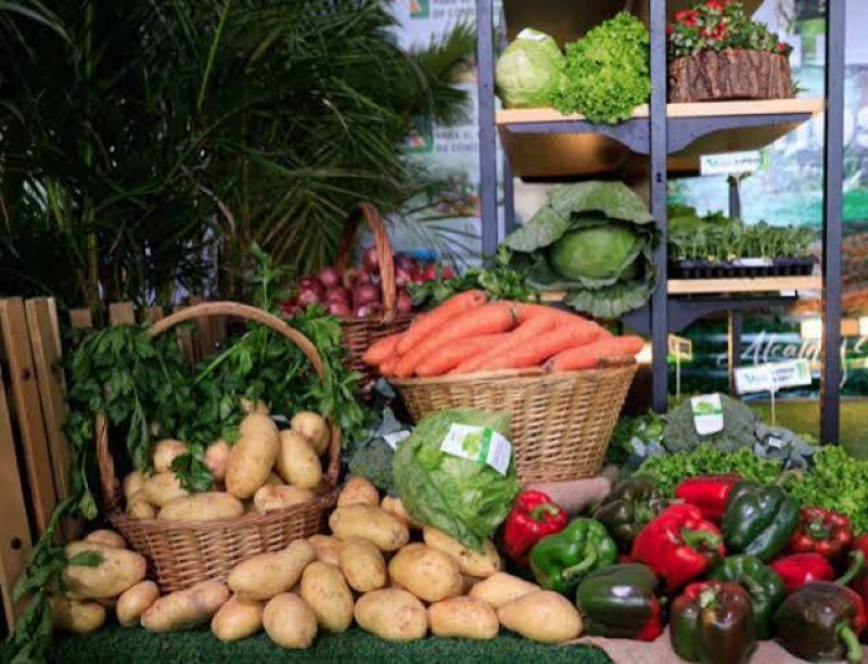 La agricultura ha sido, durante generaciones, el sustento de cientos de familias en Constanza.