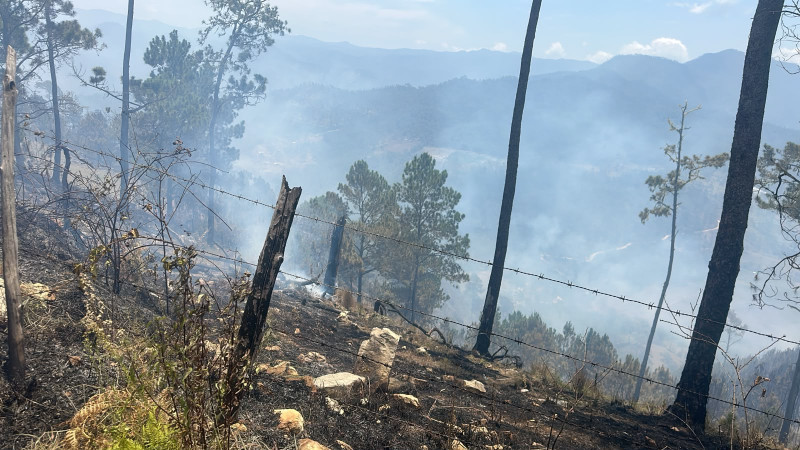 Incendios forestales en San José de Ocoa