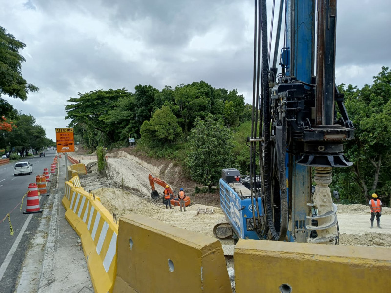 Tala de árboles en Los Próceres genera incertidumbre por falta de información de la obra