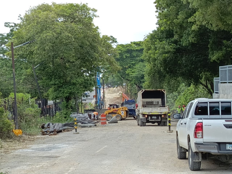 Tala de árboles en Los Próceres genera incertidumbre por falta de información de la obra