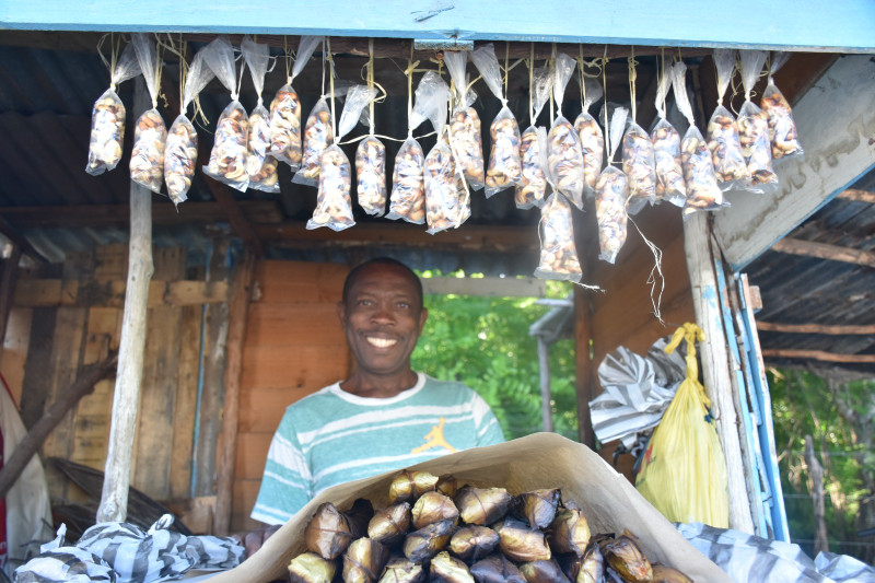 En la imagen Luis Ditrén, portador de tradiciones, que elabora la chola, un alimento ancestral de origen taíno, con almidón de guáyiga y coco. Visítenlo en Najayo, San Cristóbal, cerca de la planta de gas.