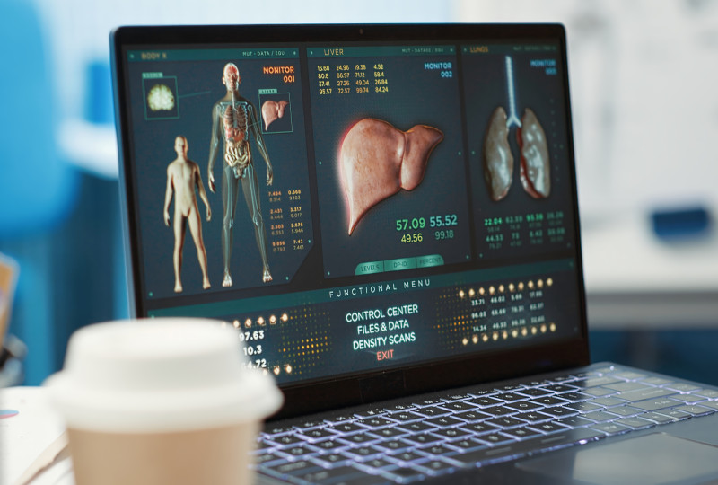 Recreación informática de distintos órganos de la anatomía humana con el hígado situado en el centro de la pantalla.