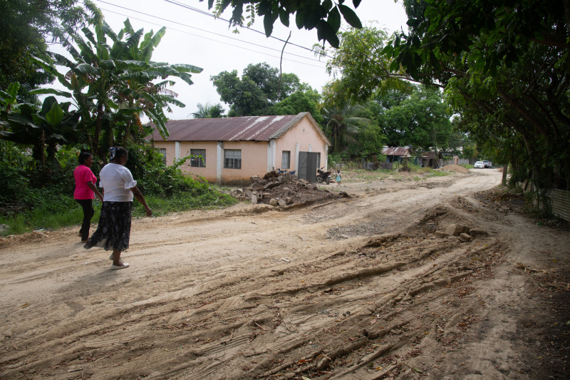 Una calle totalmente deterioprada en Villas del Norte, en Licey de Villa Mella.