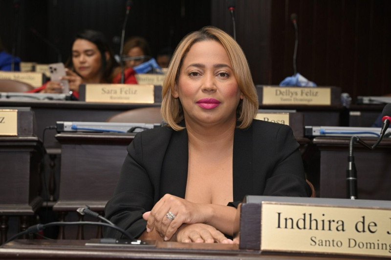Indhira De Jesús, diputada por la circunscripción núm. 4 de Santo Domingo Oeste