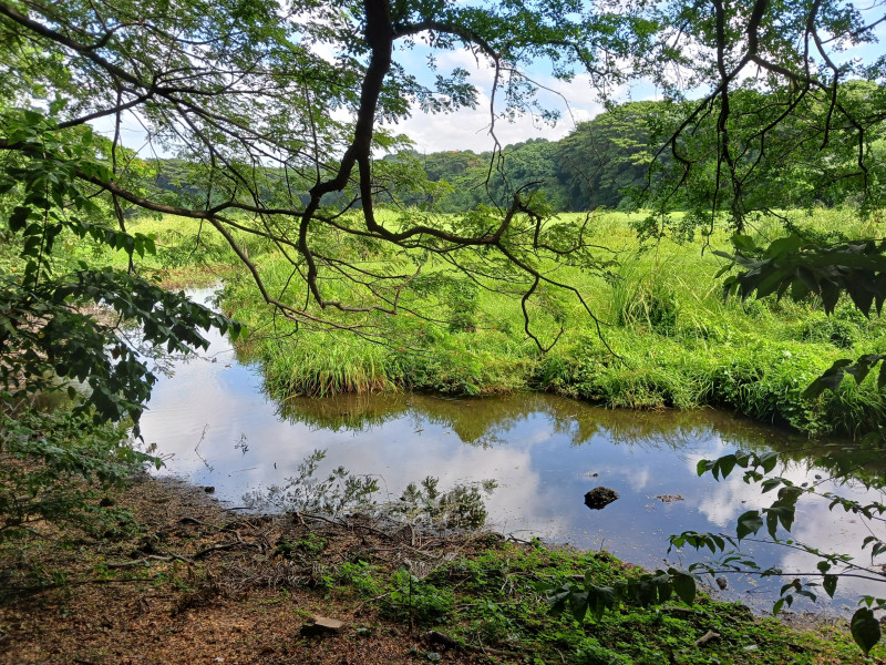 Hay más de mil metros de senderos -con pendientes incluidas- habilitados alrededor del depósito natural de agua.