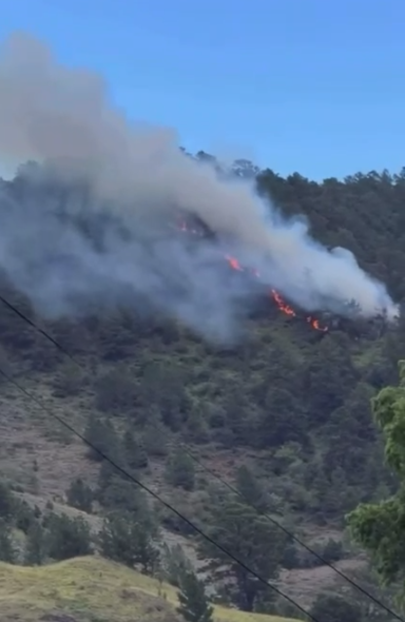 Incendio forestal en Constanza
