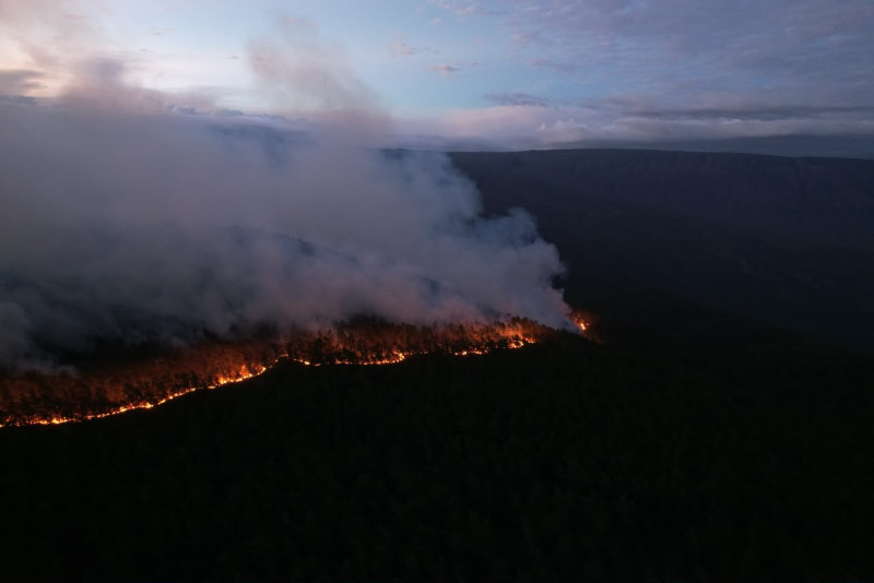 La magnitud del siniestro mantiene un denso manto de humo visible desde el casco urbano de Pedernales y amenaza con causar un daño ecológico irreparable a una de las reservas de la biosfera más importantes del Caribe.