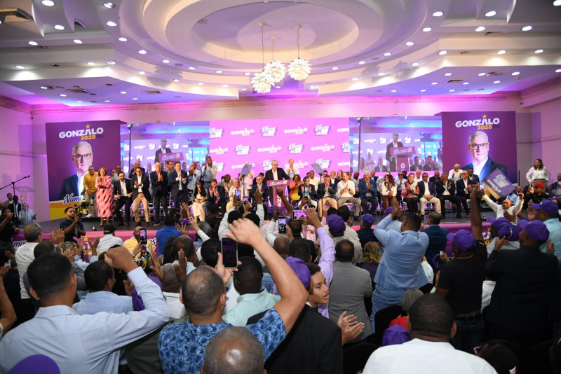 El aspirante a la candidatura presidencial del Partido de la Liberación Dominicana (PLD), Gonzalo Castillo