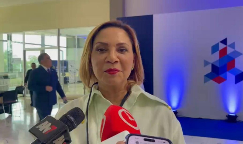La diputada por Santiago Soraya Suárez Ariza