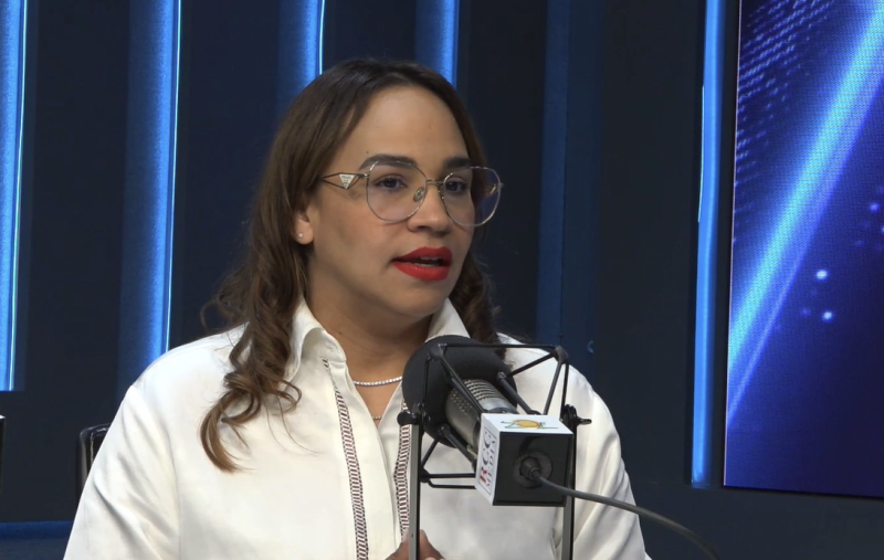 Suedi de León, directora de Comunicaciones de la JCE, explica los casos que están atendiendo.
