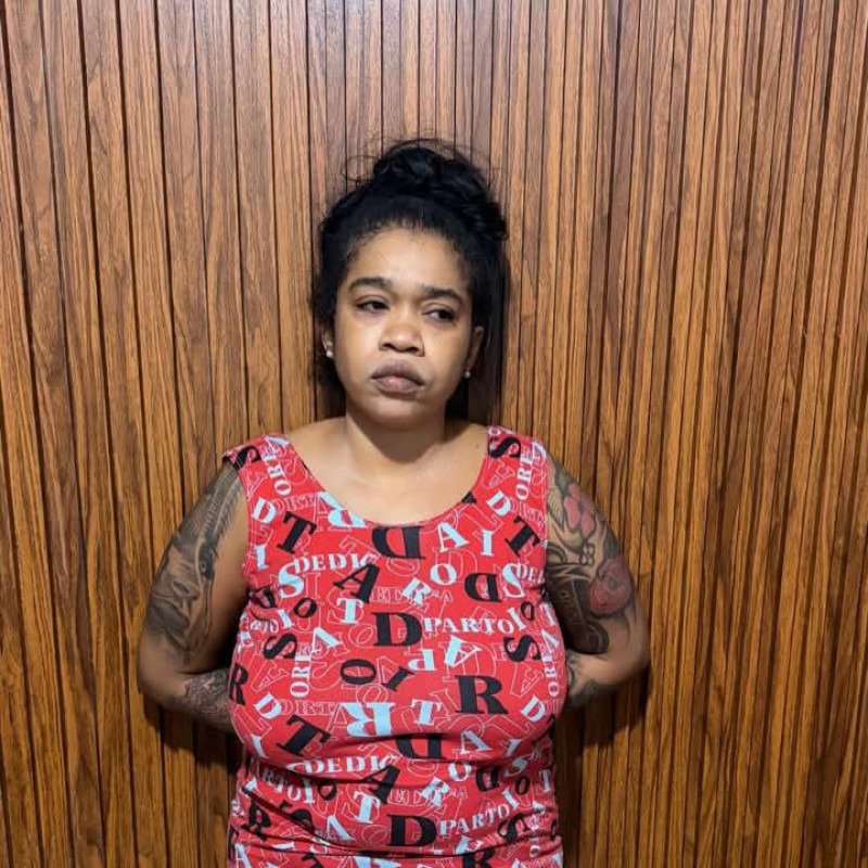 Alejandra Rojas Saldaña, alias “Yolaska”, detenida como presunta responsable de penetrar la residencia de un ciudadano alemán.