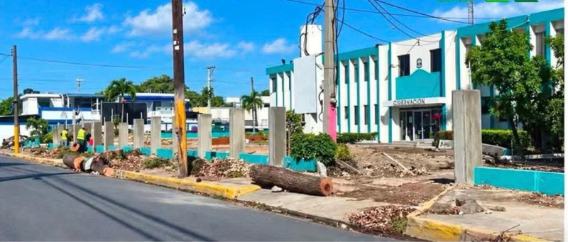 La tala de árboles se realizó en el corazón de la ciudad.