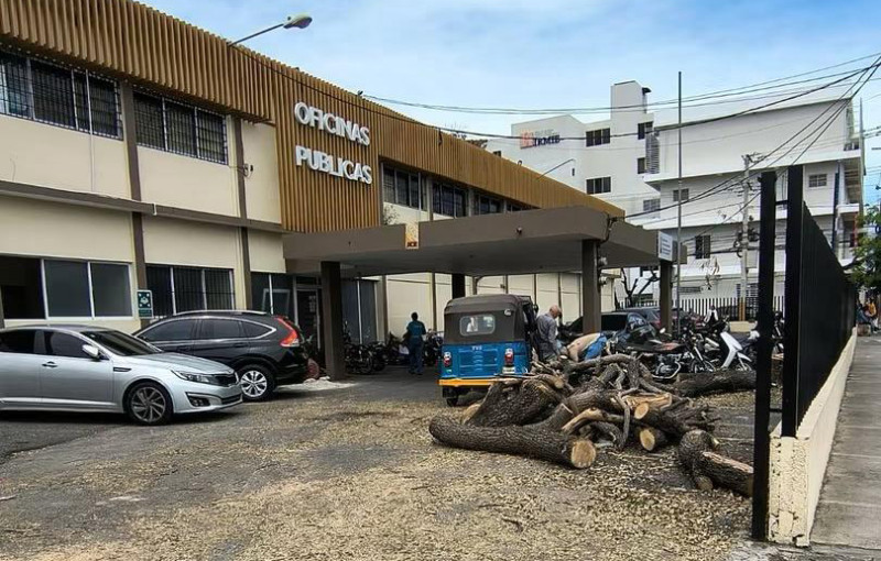 La Gobernación catalogó la amputación del arbolado como un 