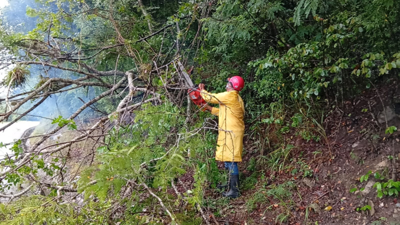 Lluvias empeoran caminos y carreteras y provocan caída de árboles en Ocoa