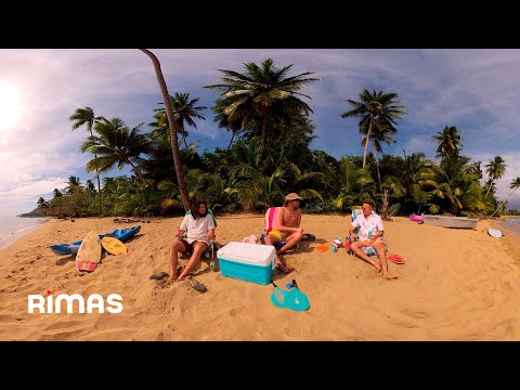 Bad Bunny - Después de la Playa (360° Visualizer) | Un Verano Sin Ti
Un Verano Sin Ti https://www.unveranosinti.com/  

World's Hottest Tour https://worldshottesttour.com/

Más de Bad Bunny:
EUTDM - https://RIMAS.lnk.to/EUTDM
YHLQMDLG - https://rimas.io/YHLQMDLG
X100PRE - https://rimas.io/X100pre​

Sigue a Bad Bunny:
YouTube: https://RIMAS.lnk.to/ytBadBunny
Spotify: https://RIMAS.lnk.to/BBSPOTIFY
Apple Music: https://RIMAS.lnk.to/BBapplemusic
Instagram: https://www.instagram.com/badbunnypr

#BADBUNNY​ #UNVERANOSINTI​ #DespuesdelaPlaya
© 2022 Rimas Entertainment