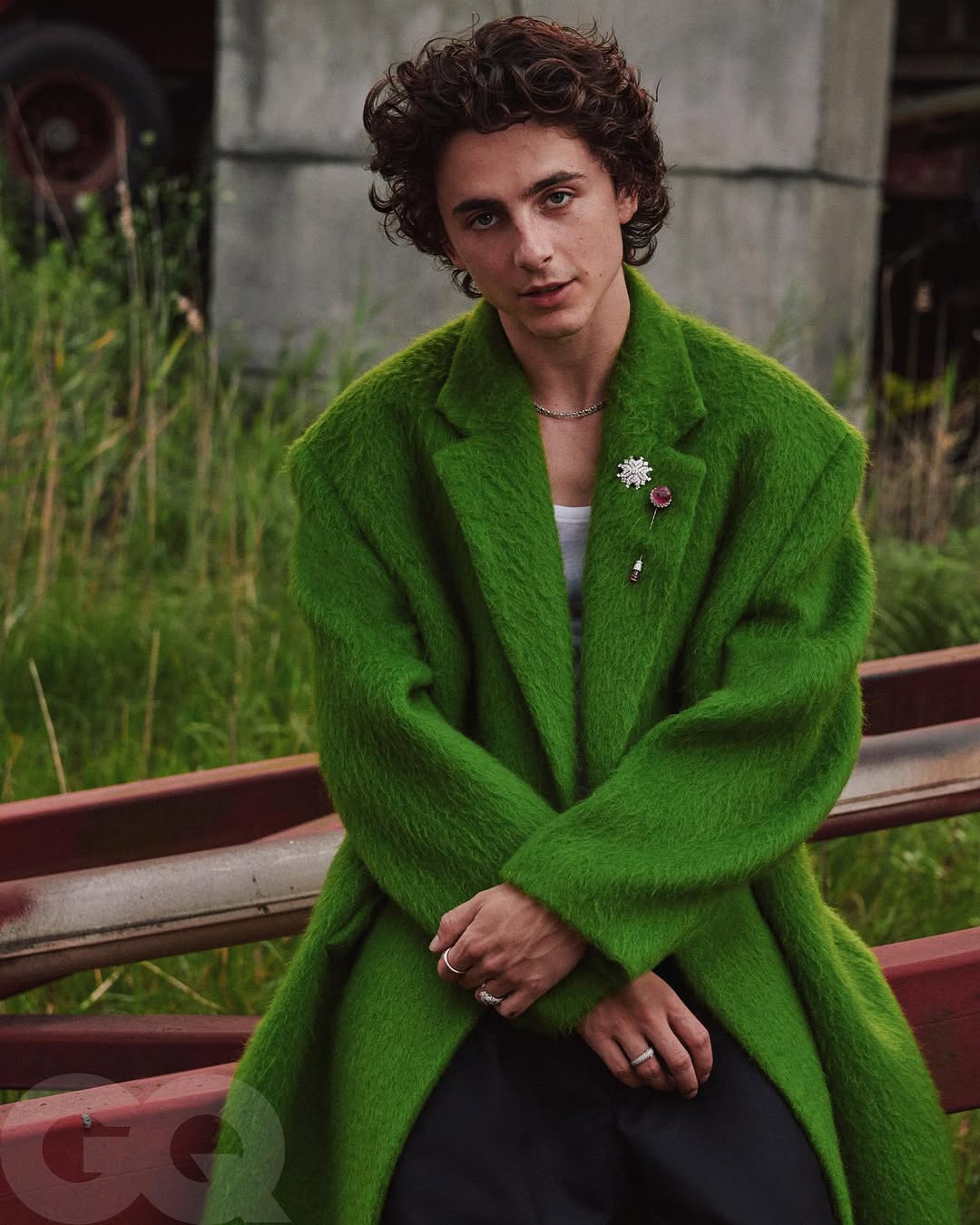 Chalamet de Timothée