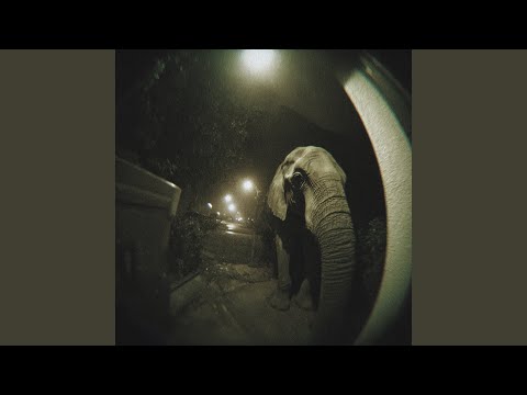 Proporcionado a YouTube por The Orchard Enterprises Elefante · Alex Ferreira Elefante ℗ 2025 MEDAISLA bajo licencia exclusiva de Alex Ferreira Publicado el: 2025-10-23 Productor: Alex Ferreira Productor: Germán Reccitelli Autogenerado por YouTube.