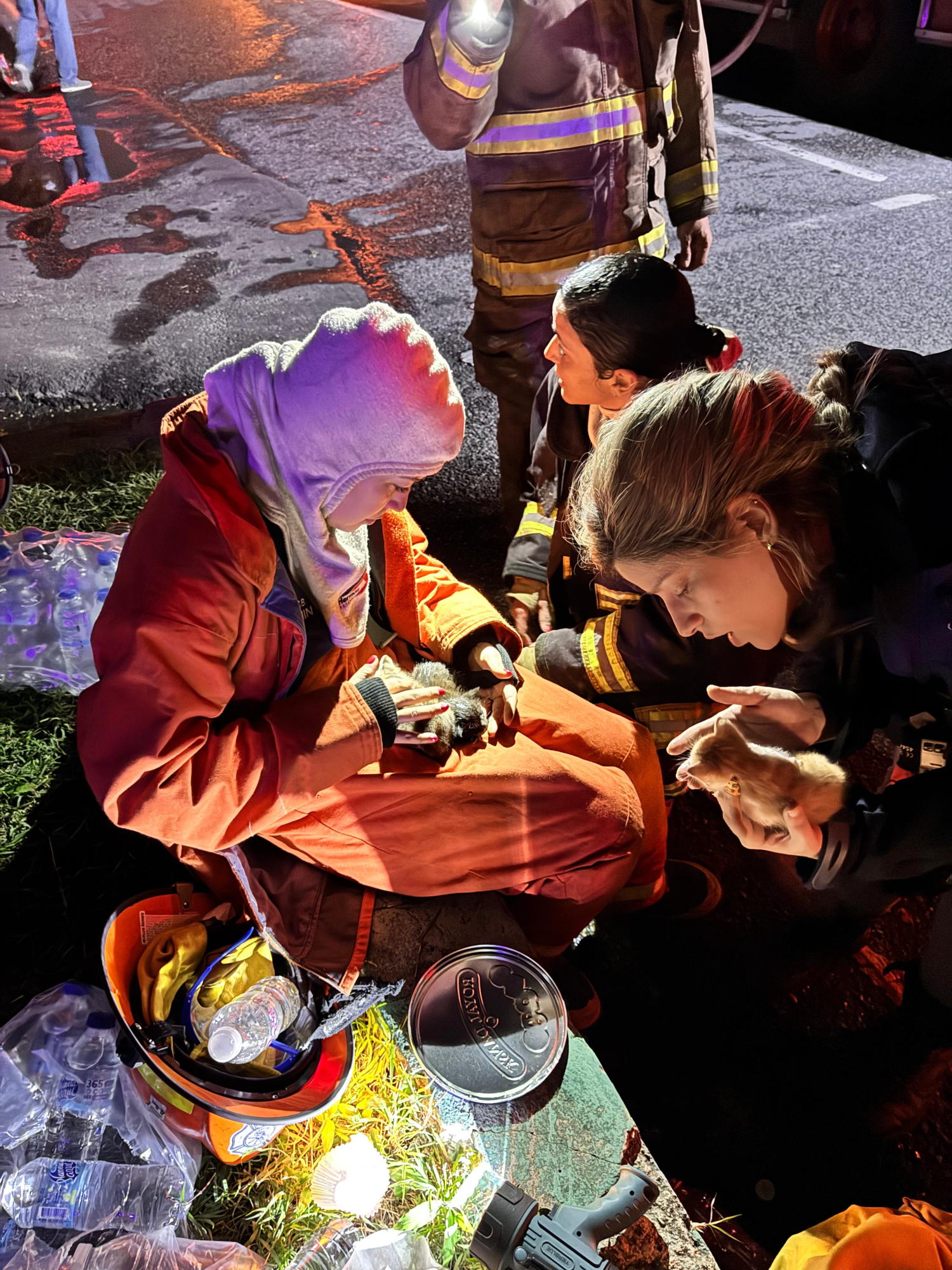Los agentes del Departamento de Bomberos están brindando asistencia a los gatos afectados.