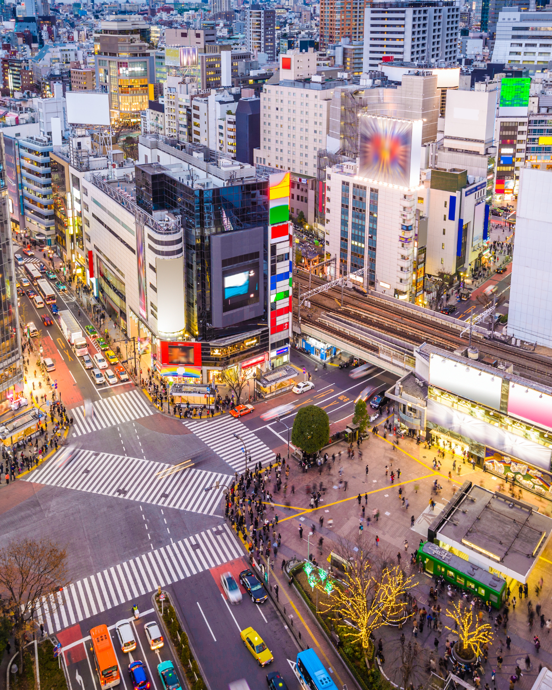 Tokio. Catalogada por ser la ciudad más grande del mundo.