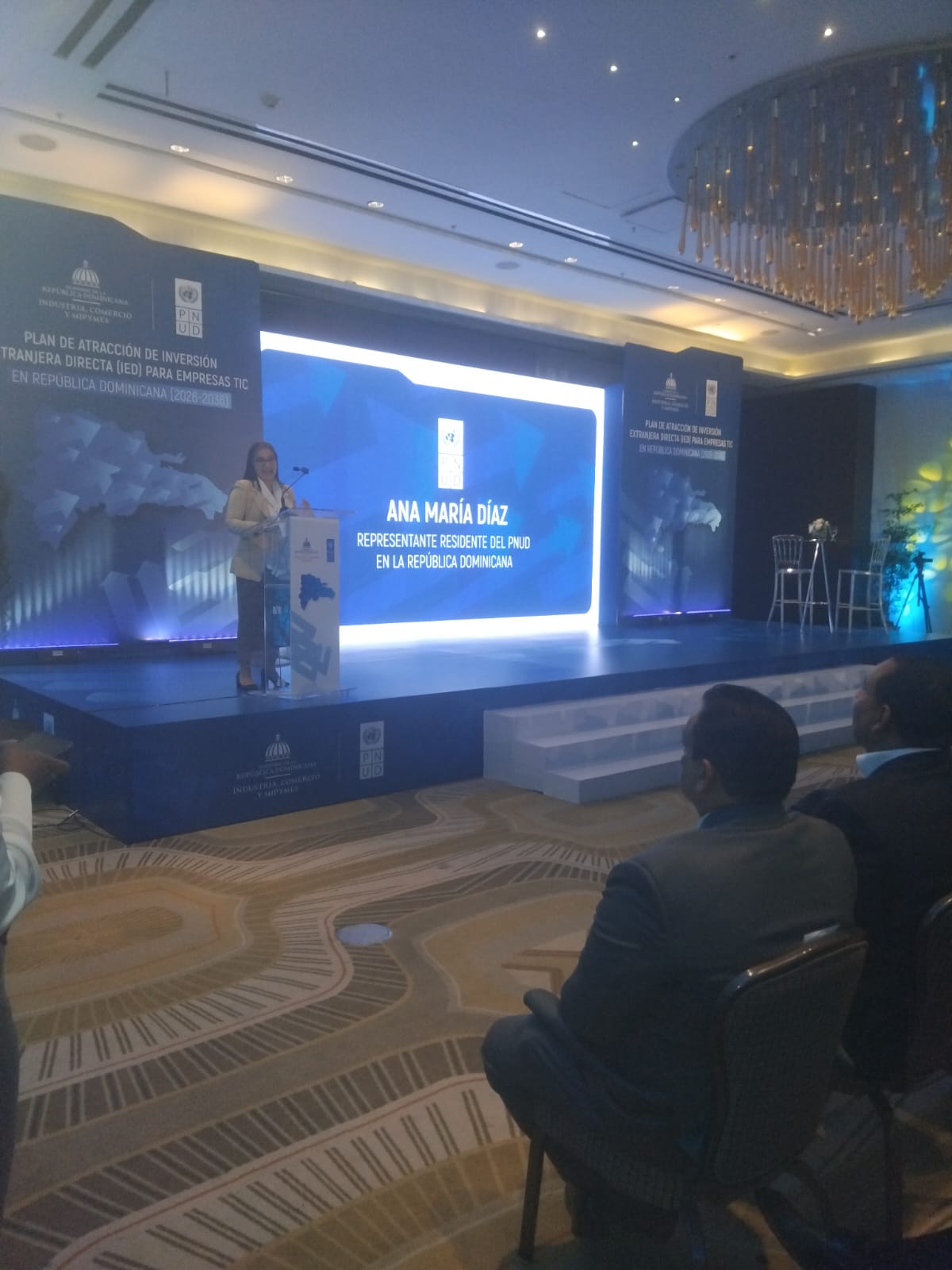 Ana María Díaz, representante de la ONU en República Dominicana.