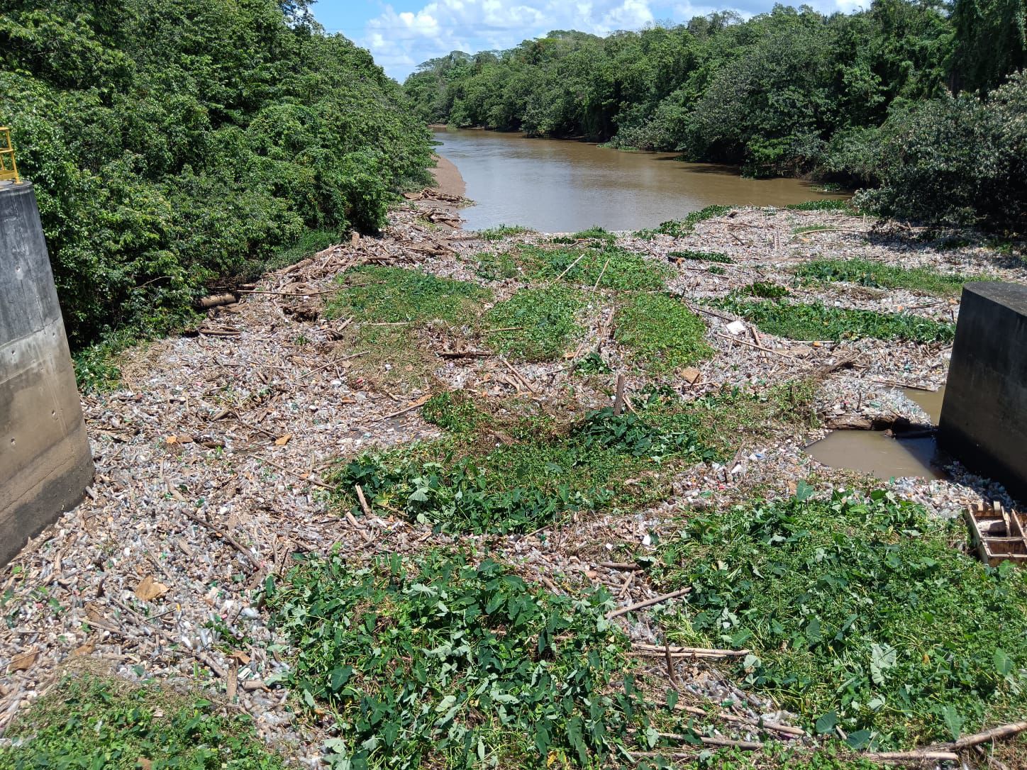 gran cantidad de troncos, basura, plásticos, botellitas, vasos foam y toda clase de desechos que obstruyeron la obra de toma.