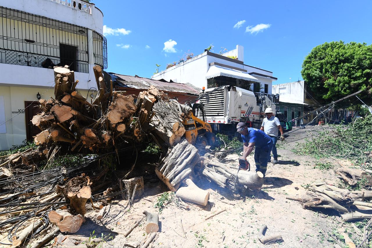 Trabajadores del Ayuntamiento del Distrito Nacional trabajan para despejar vías afectadas por la lluvia y el ventarrón del lunes 13 de abril de 2026.