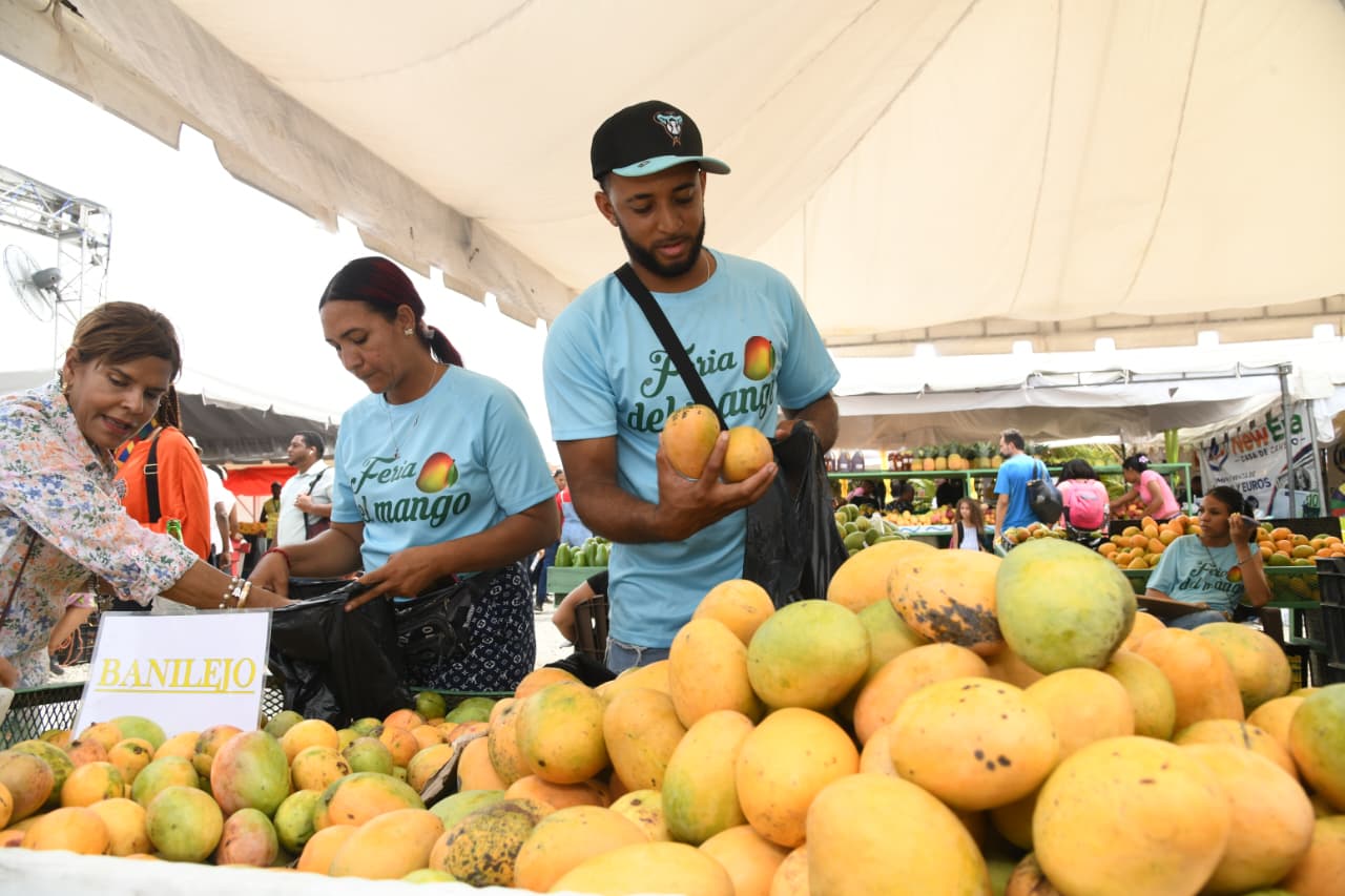 El mango "banilejo" y el "mingolo" son los que llevan la delantera en ventas.